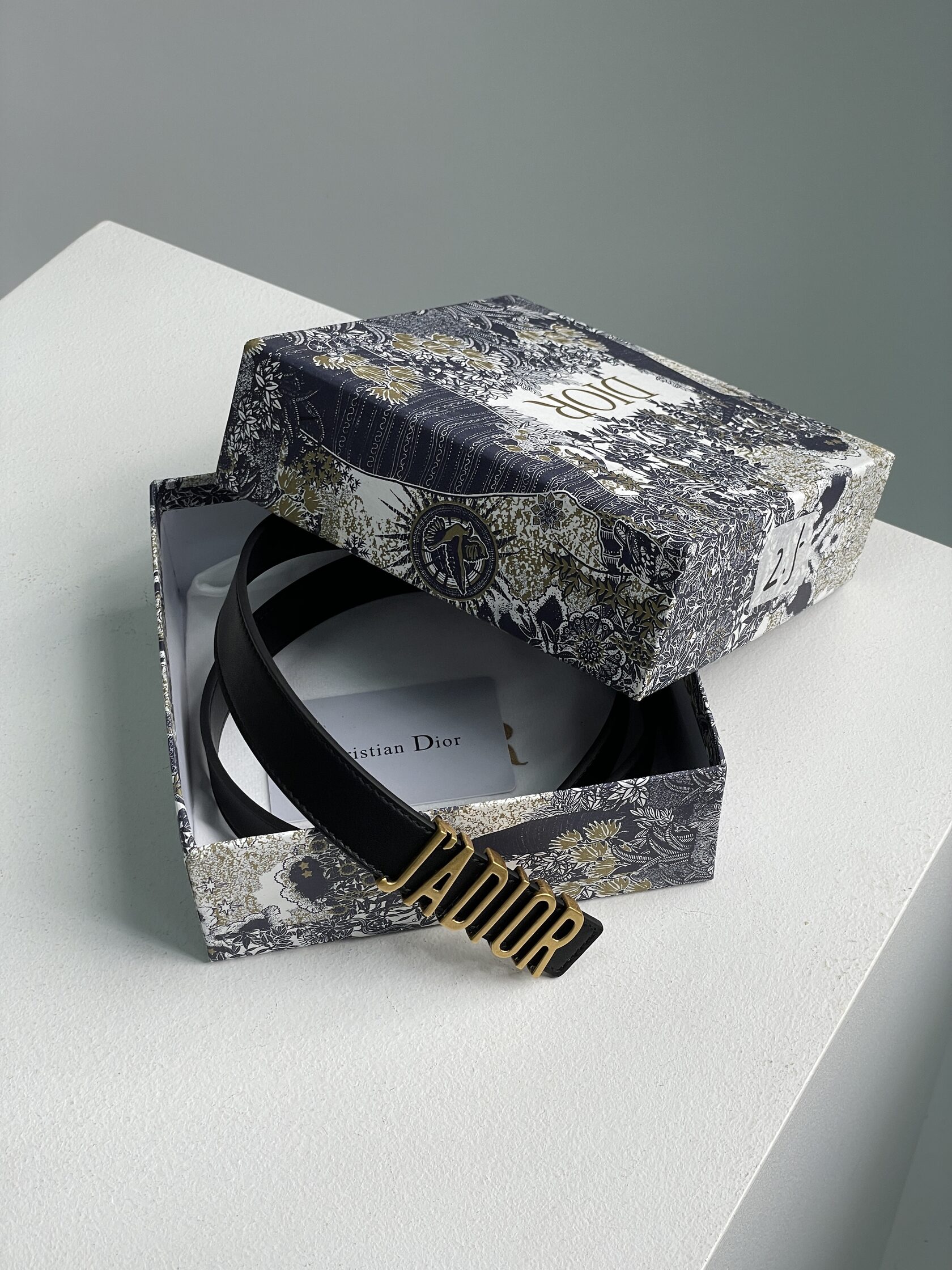 Dior JA-D-Fence Belt Black Smooth Calfskin - 8