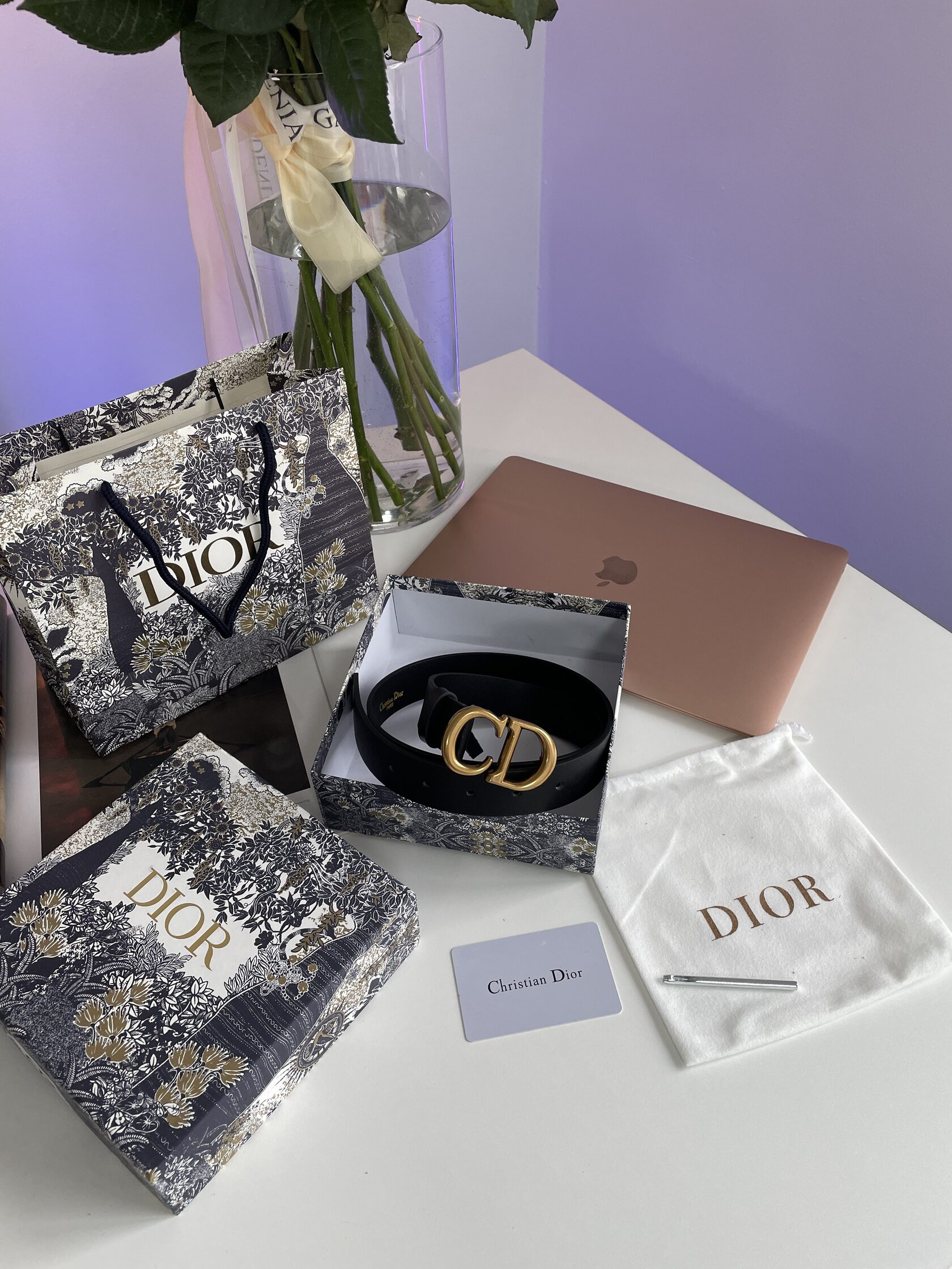 Dior Saddle Belt Black Ultrasmooth Calfskin Gold - 2