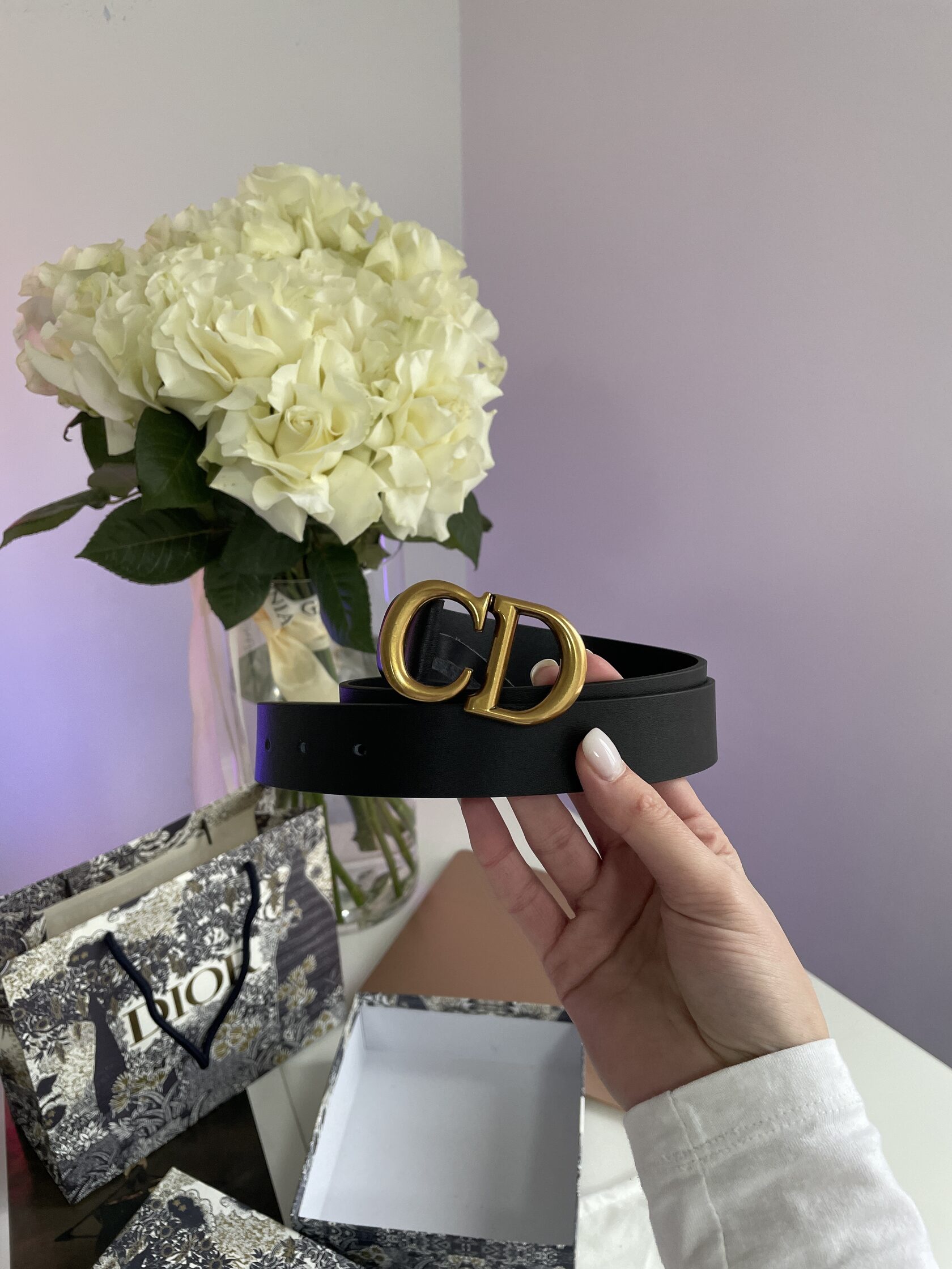 Dior Saddle Belt Black Ultrasmooth Calfskin Gold - 5