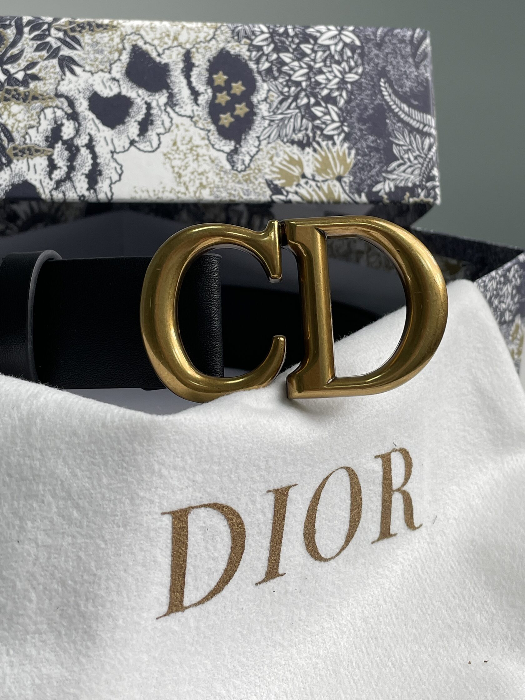 Dior Saddle Belt Black Ultrasmooth Calfskin Gold - 7