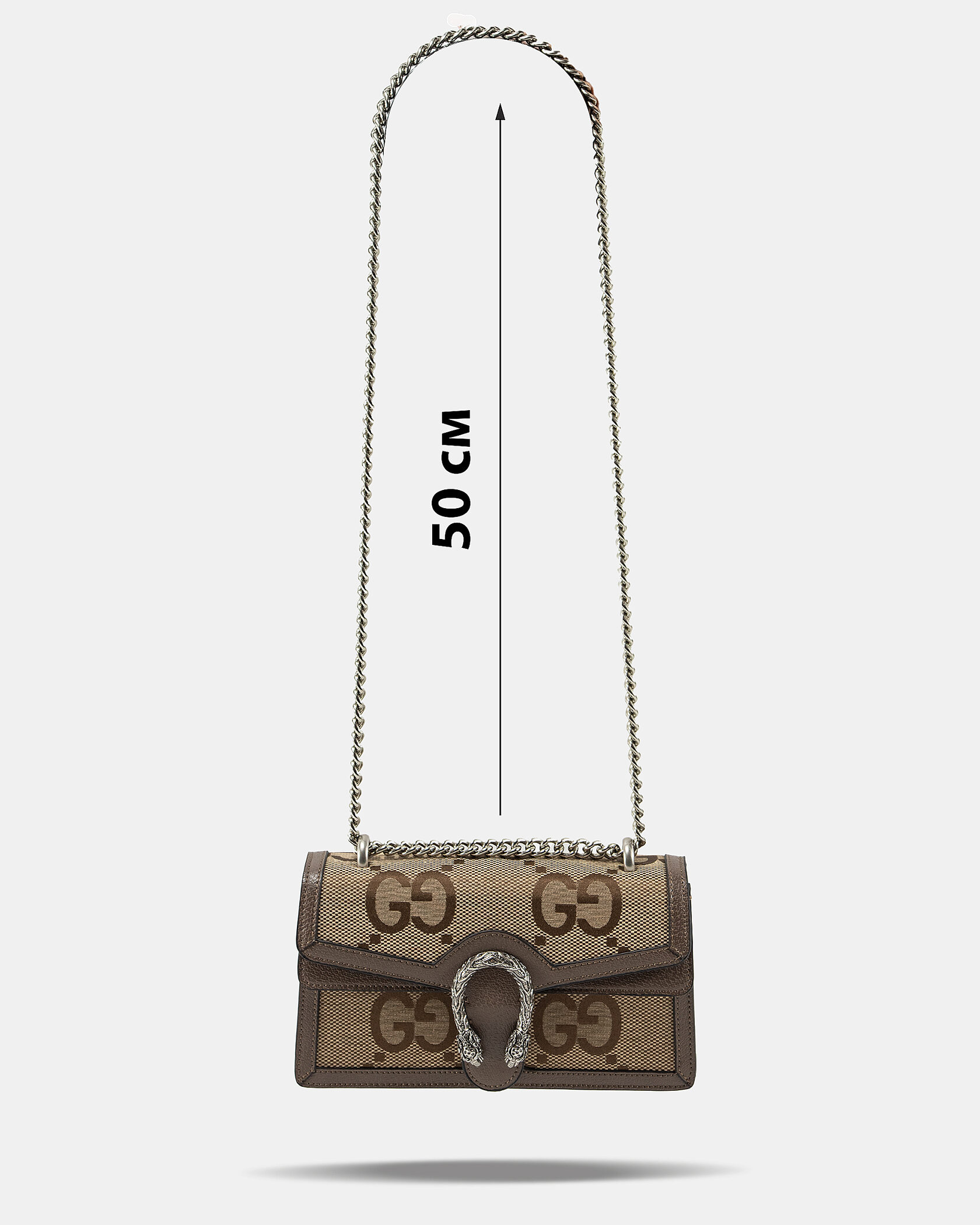 Gucci Dionysus Small Shoulder Bag in GG Supreme Canvas Beige/Brown - 4