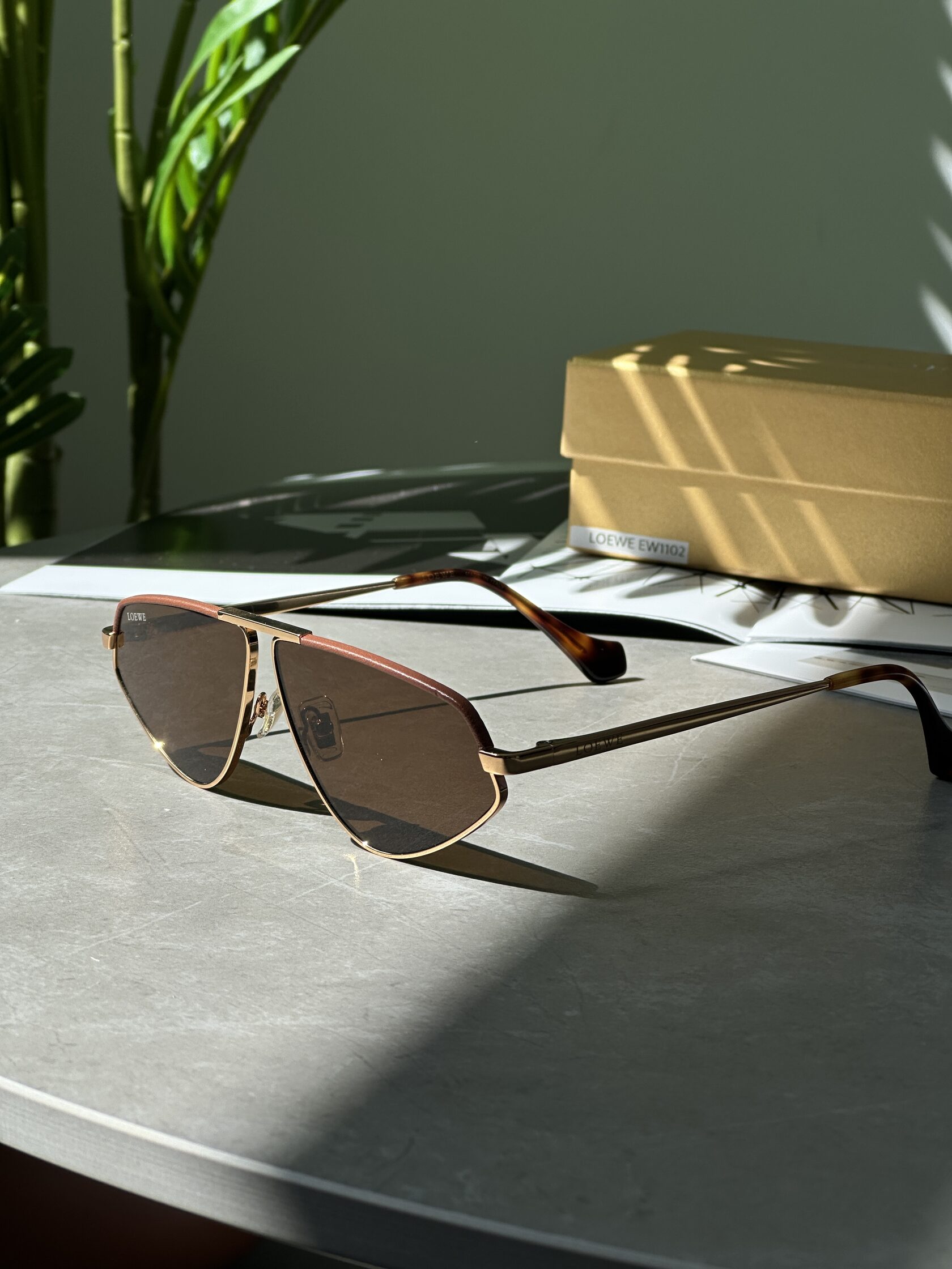 Loewe Brown/Gold LW40039U 002 - 6