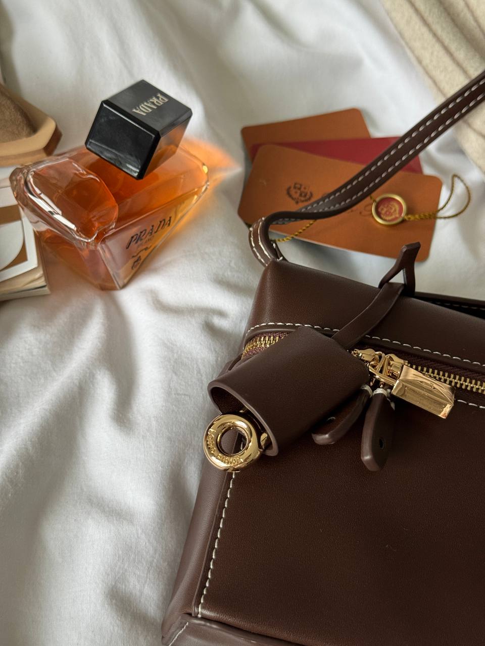 Loro Piana Extra Bag L27 Smooth Calfskin Brown - 15