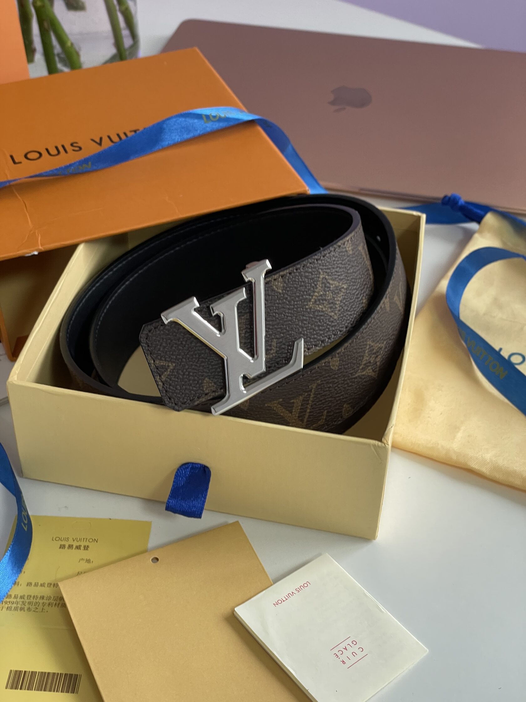 Louis Vuitton Iconic 35 mm Belt Silver - 5