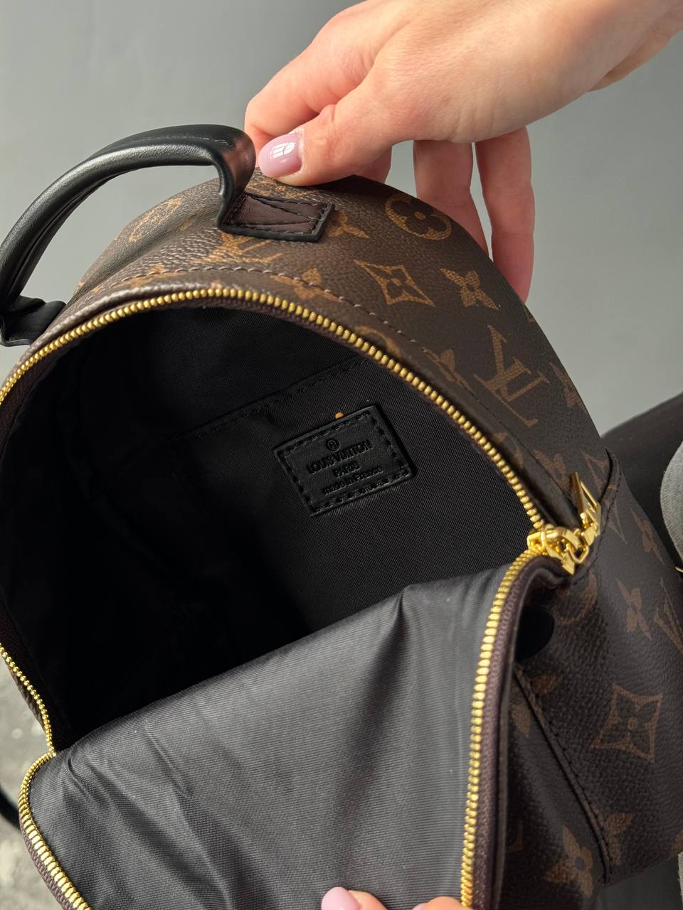 Louis Vuitton Palm Springs Mini Backpack in Monogram Canvas - 12
