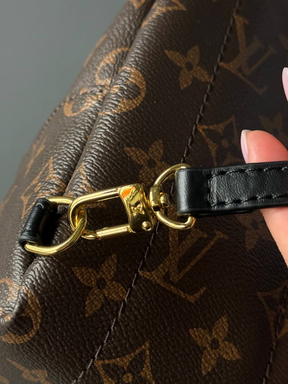 Louis Vuitton Palm Springs Mini Backpack in Monogram Canvas - 13