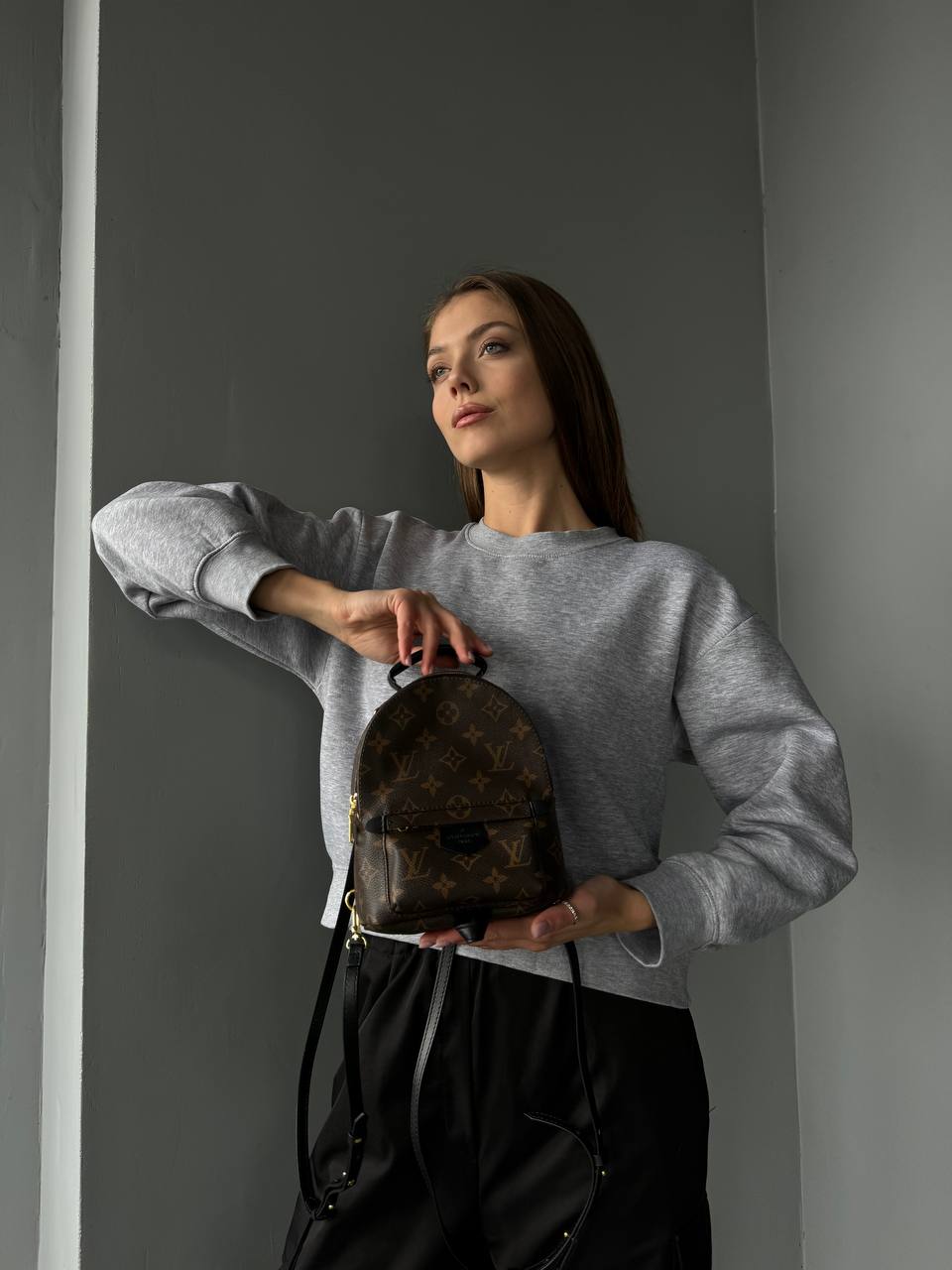 Louis Vuitton Palm Springs Mini Backpack in Monogram Canvas - 2