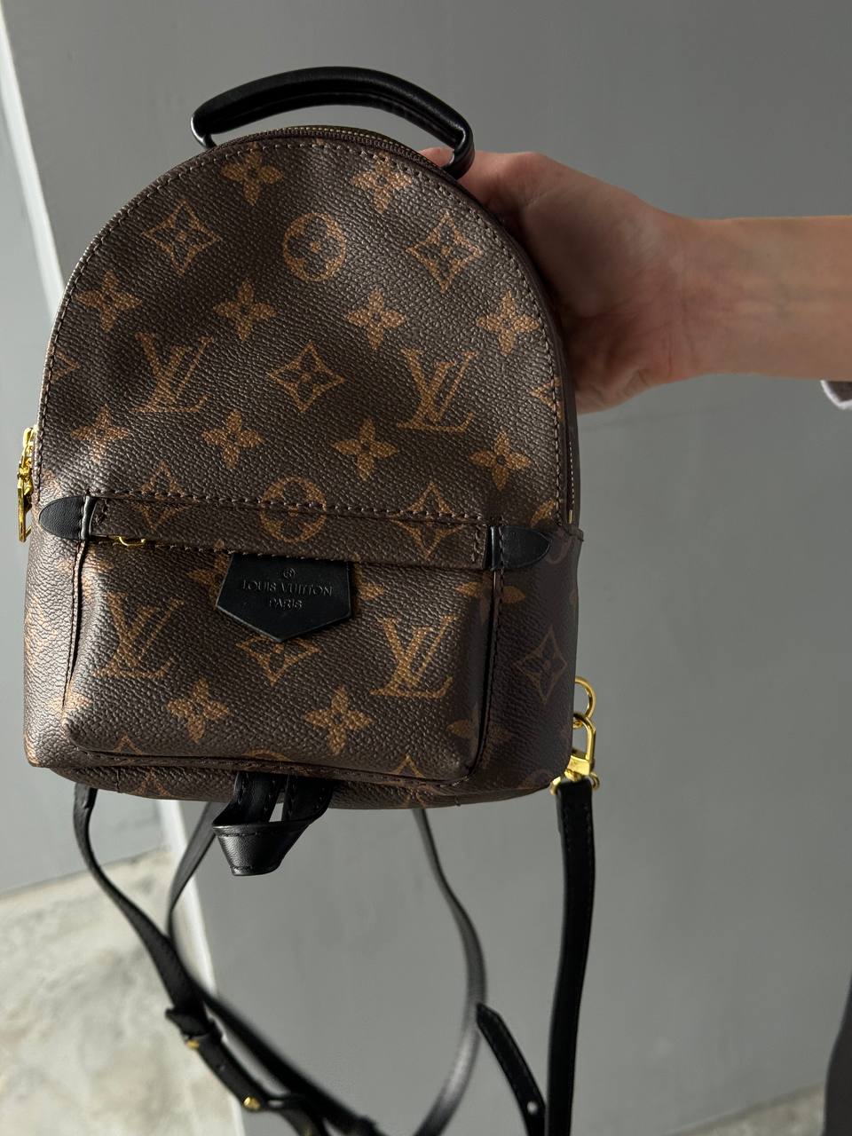 Louis Vuitton Palm Springs Mini Backpack in Monogram Canvas - 3