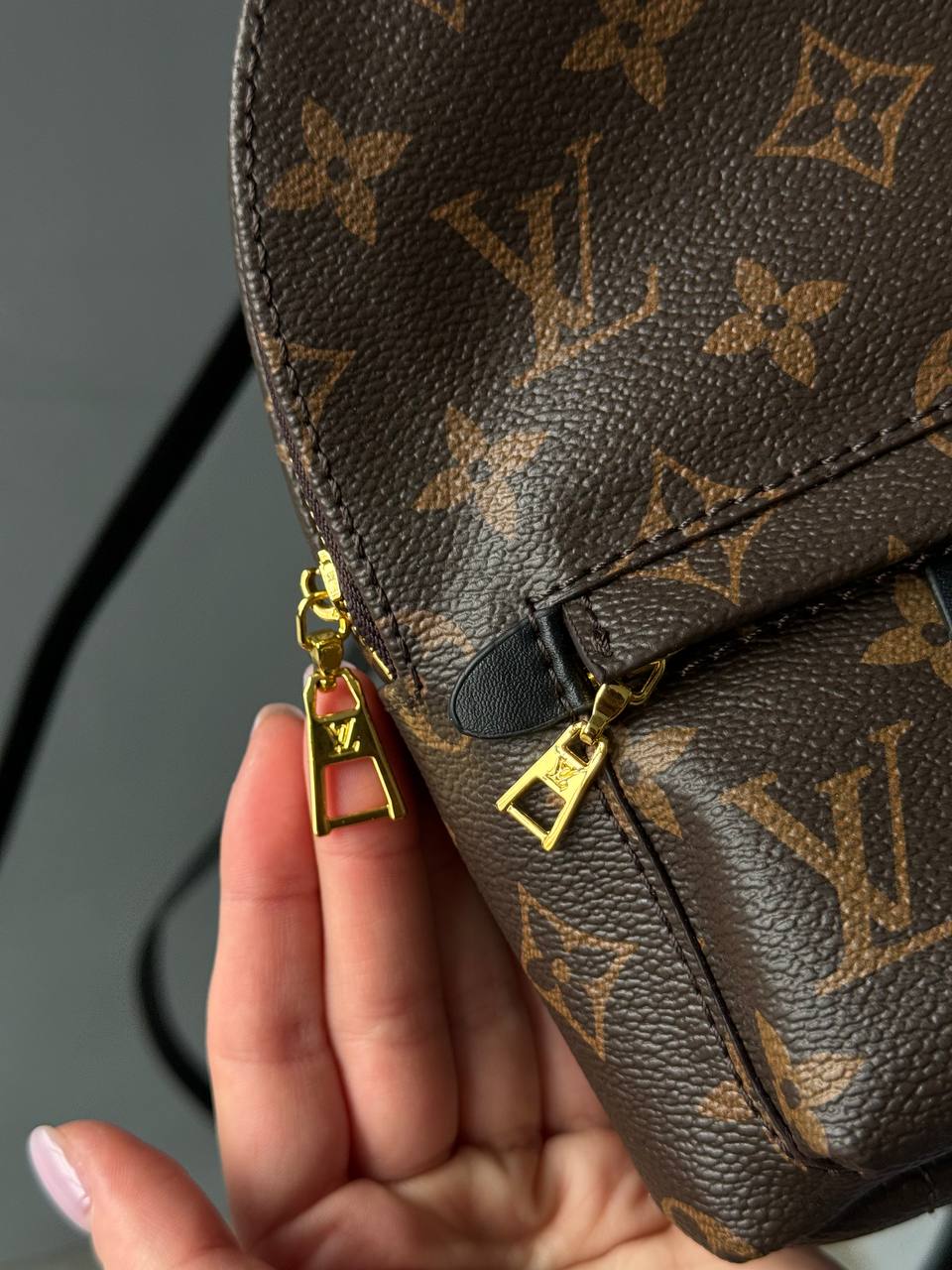Louis Vuitton Palm Springs Mini Backpack in Monogram Canvas - 7
