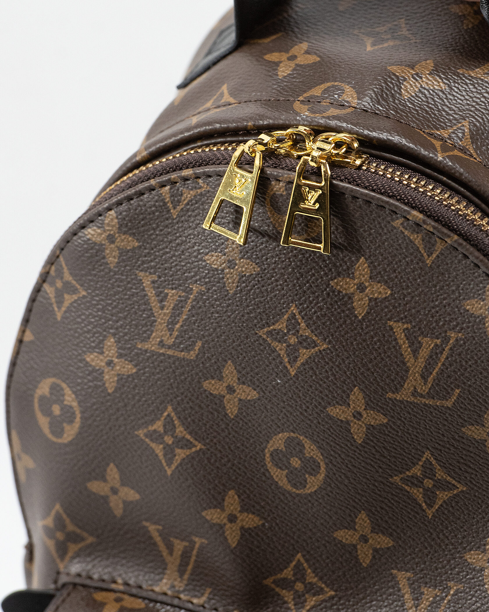 Louis Vuitton Palm Springs PM Brown/Black - 13