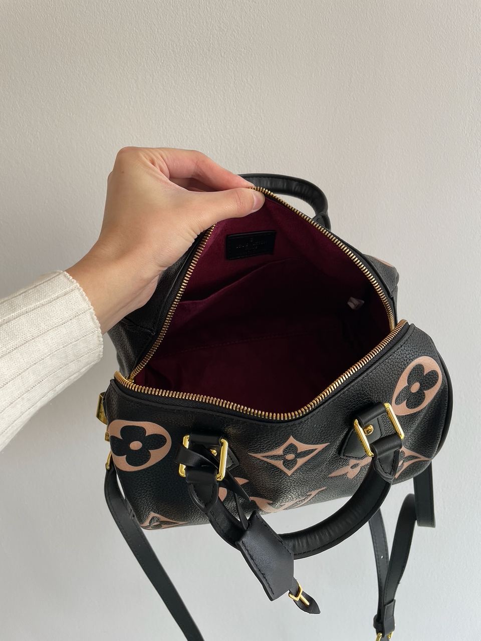 Louis Vuitton Speedy Bandouli?re 25 Bag - 16