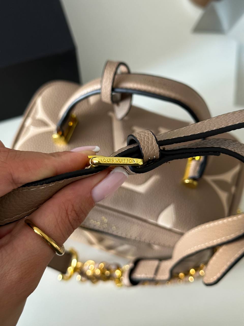 Louis Vuitton Vanity PM Bag Grey/Boise de Rose - 6