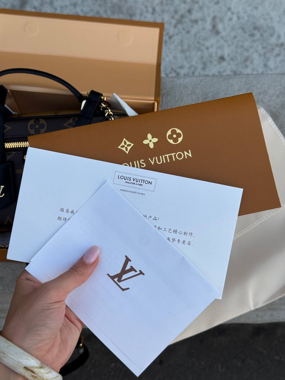 Louis Vuitton Vanity PM Bag Monogram Reverse Coated Canvas Calf - 14