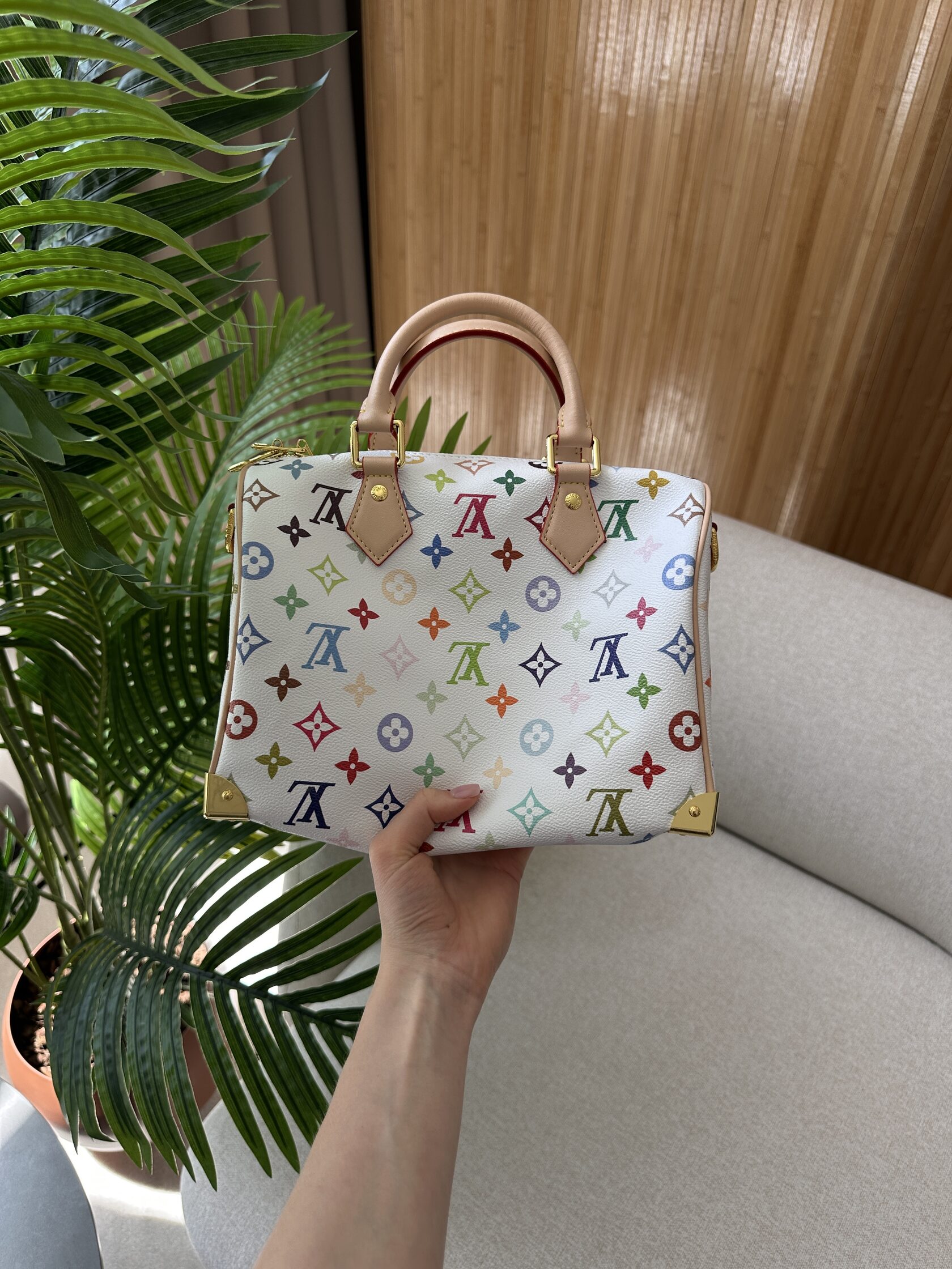 Louis Vuitton x Murakami Takashi Speedy Bandouliere 25 Multicol - 10