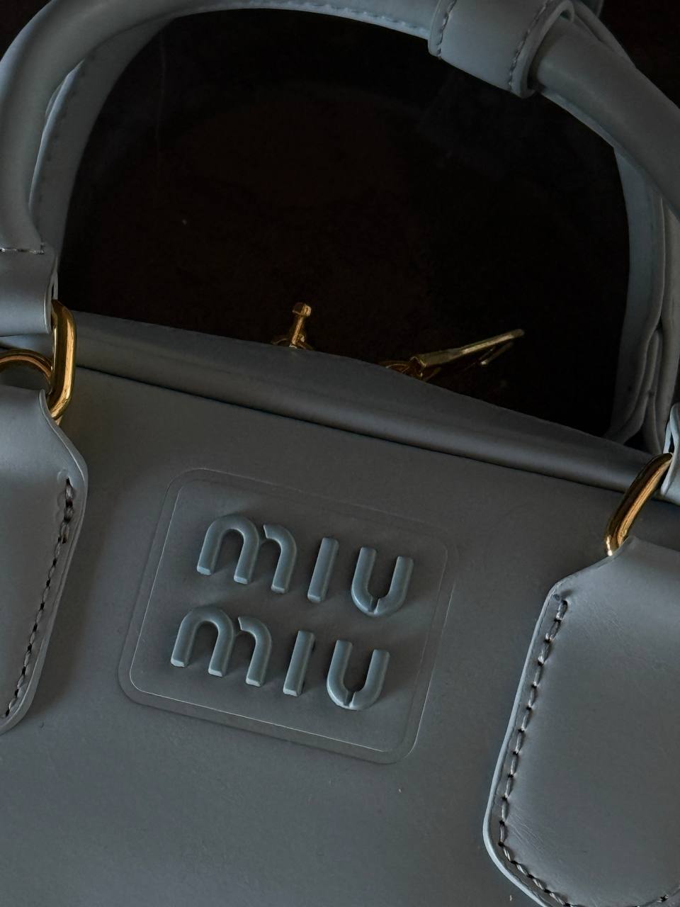 Miu Miu Arcadie Leather Bag Blue - 4