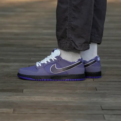 Nike SB Dunk Lobster Purple