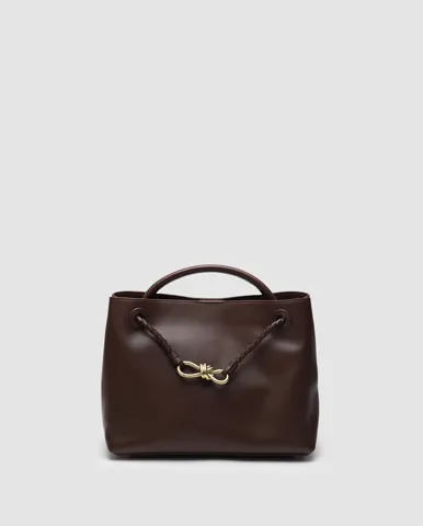 Bottega Veneta Andiamo Medium Leather Tote Bag in Brown